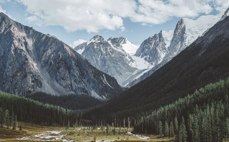 移民泰国，到底要不要找中介？我跑了5家机构，把真话写在这儿